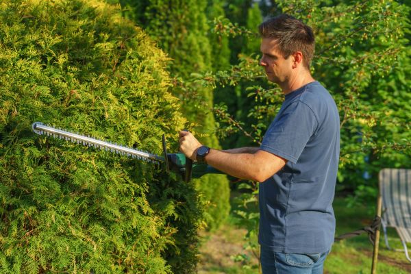 Guide pratique pour le élagage sécurisé à cannes et jardinage esthétique