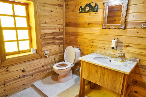 Les toilettes : quel modèle choisir pour votre confort ?
