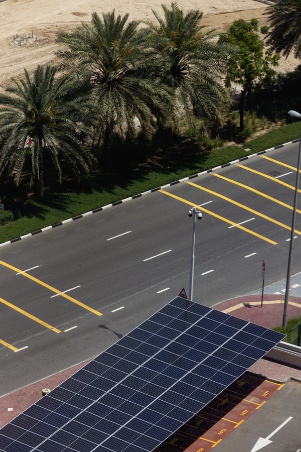 Ombrière solaire en bois : une solution élégante et écologique