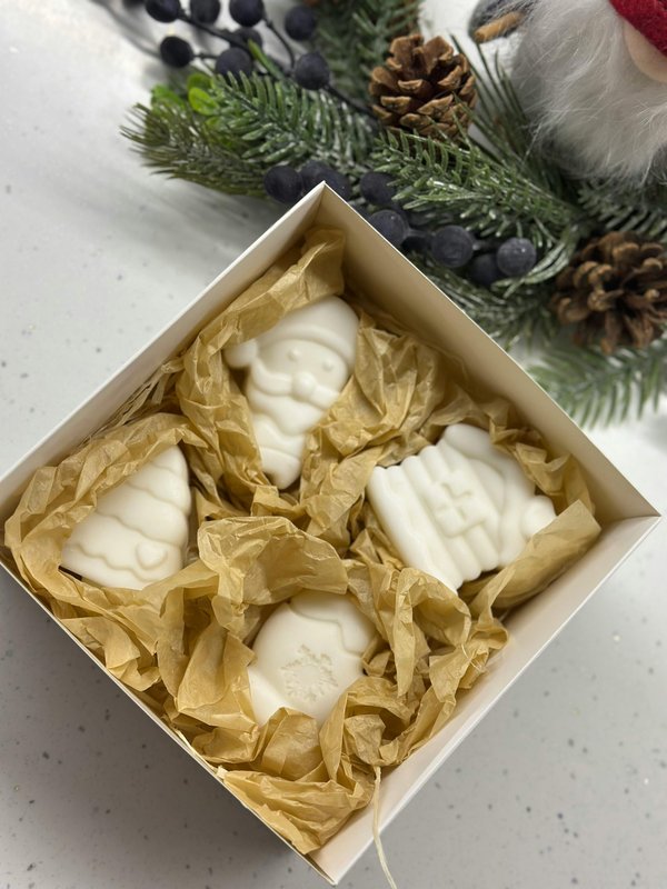 Découvrez la boîte savon voyage idéale pour vos escapades